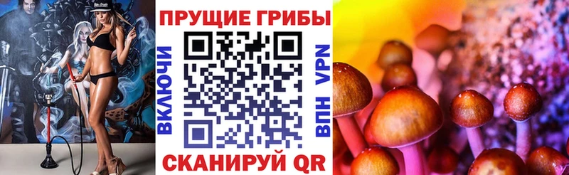 Галлюциногенные грибы MAGIC MUSHROOMS  Кстово 